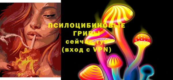ECSTASY Алексеевка